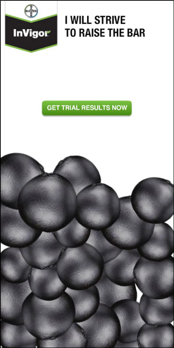 Bayer Invigor advertising unit thumbnail.