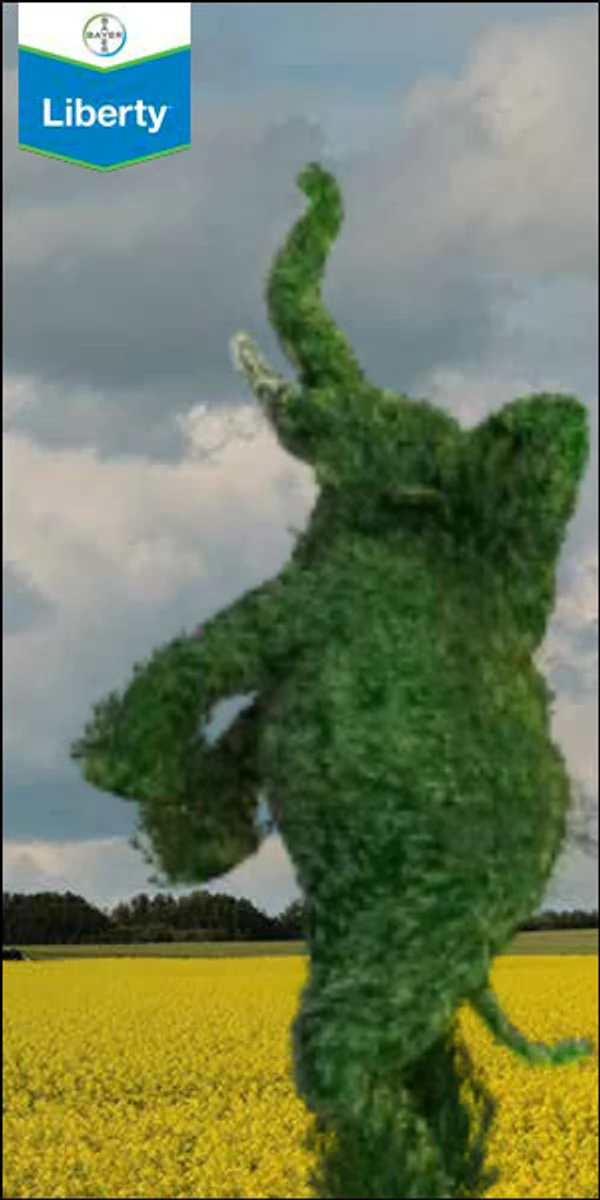 Bayer Liberty advertising unit thumbnail.