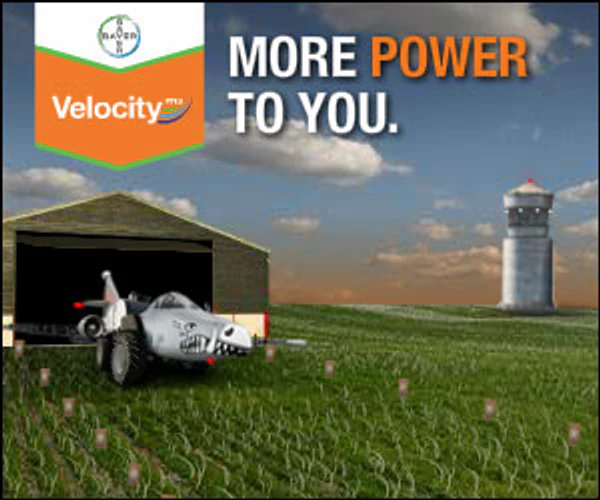 Bayer Velocity advertising unit thumbnail.